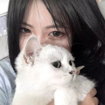 博鱼官方体育登录入口