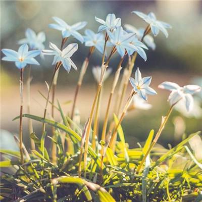 开云·体育(kaiyun)