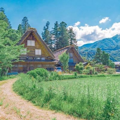 半岛彩票手机app下载