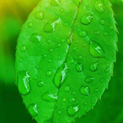 888电玩城游戏厅手机app下载